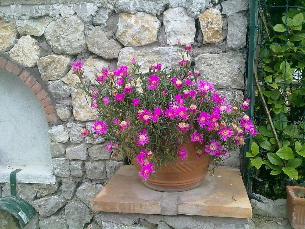 Il Merlo อนากาปรี ภายนอก รูปภาพ