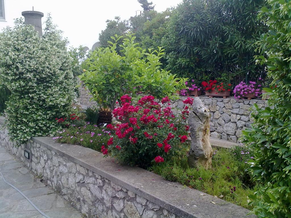 Il Merlo อนากาปรี ภายนอก รูปภาพ